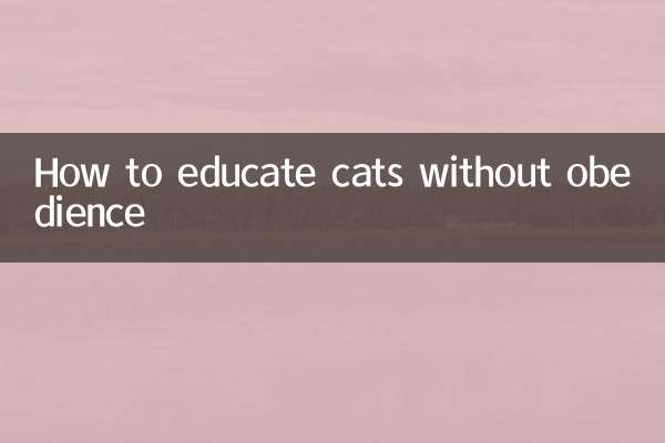 Come educare i gatti senza obbedienza