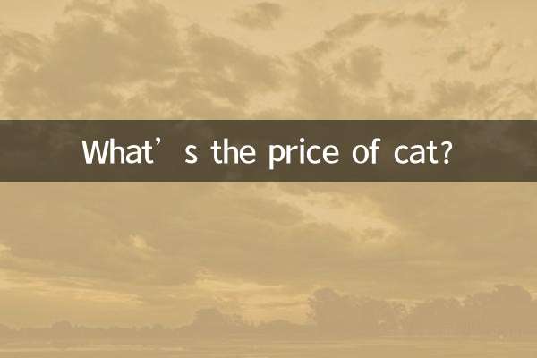 What’s the price of cat?