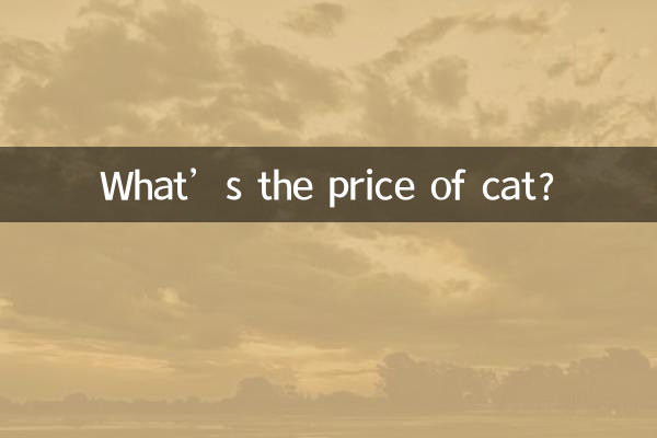 Was kostet die Katze?