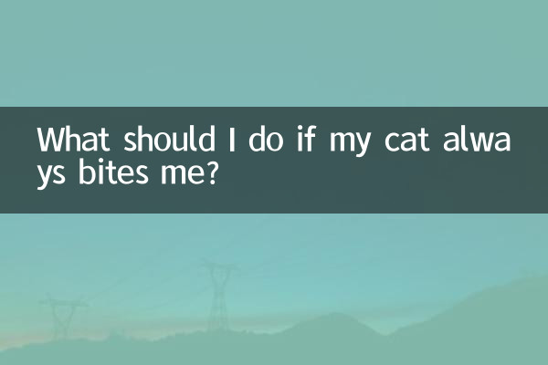 猫咪总是咬人怎么办