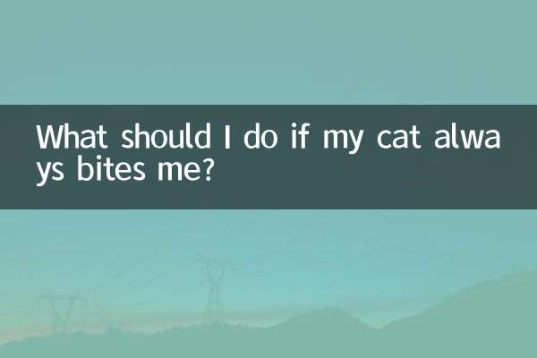 ¿Qué debo hacer si mi gato siempre me muerde?