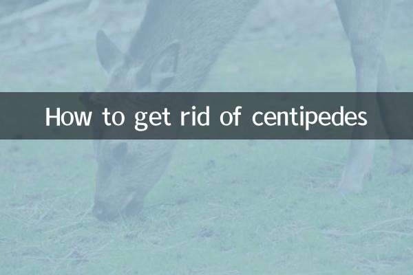 Cómo deshacerse de los ciempiés
