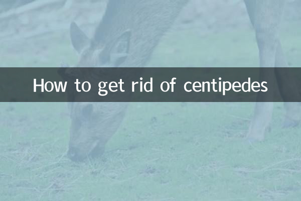 Cómo deshacerse de los ciempiés