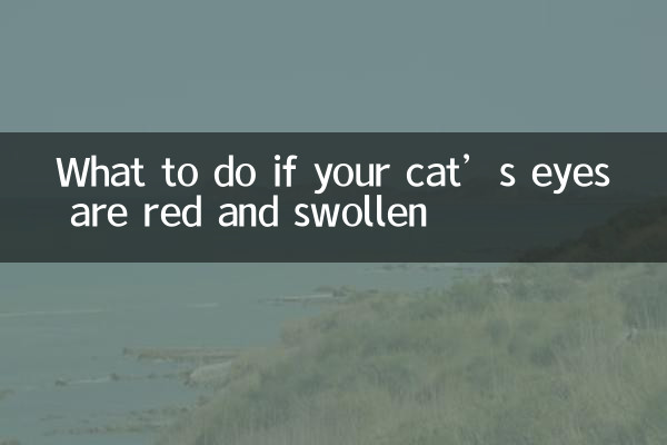 Qué hacer si los ojos de tu gato están rojos e hinchados