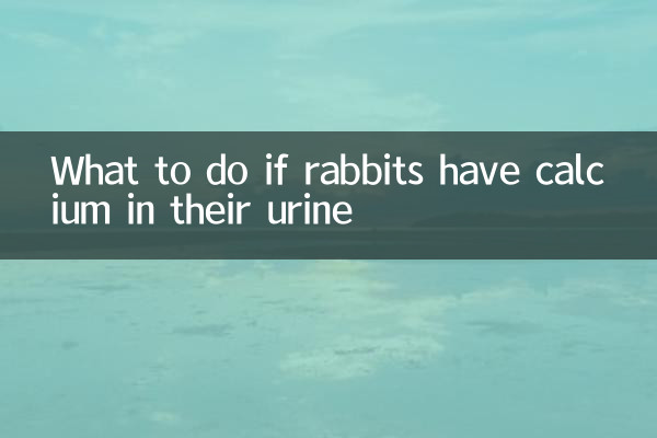 ماذا تفعل إذا كان لدى الأرانب الكالسيوم في بولها