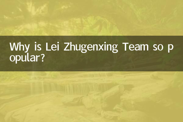 Lei Zhugenxing 팀이 왜 그렇게 인기가 있나요?