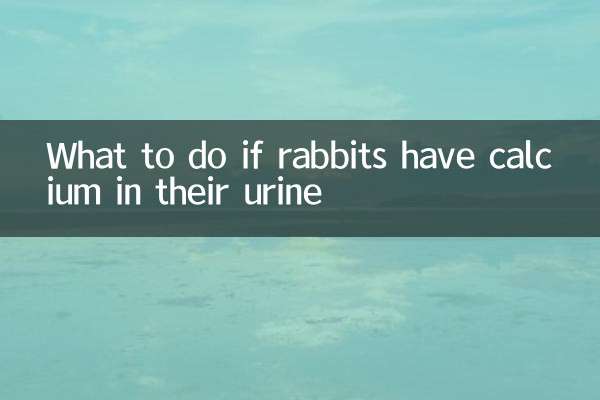اگر خرگوش ها در ادرار خود کلسیم دارند چه باید کرد؟
