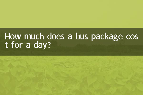 버스 패키지의 하루 비용은 얼마입니까?