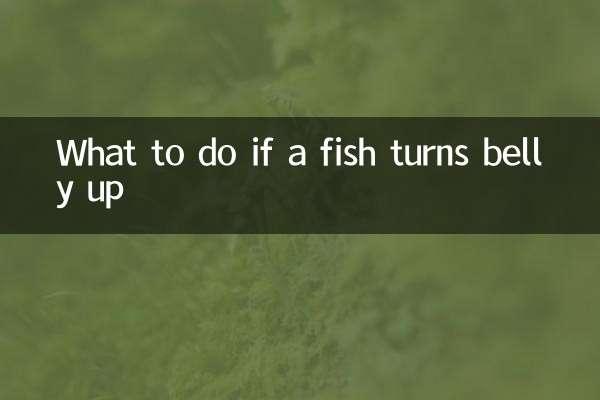 What to do if a fish turns belly up