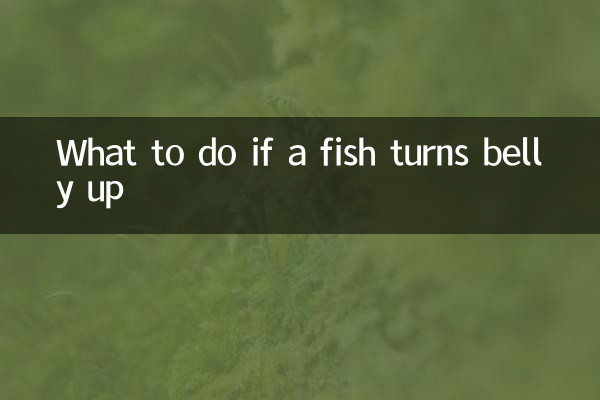 What to do if a fish turns belly up