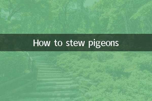 طرز خورش کبوتر