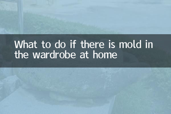집 옷장에 곰팡이가 생겼을 때 대처법