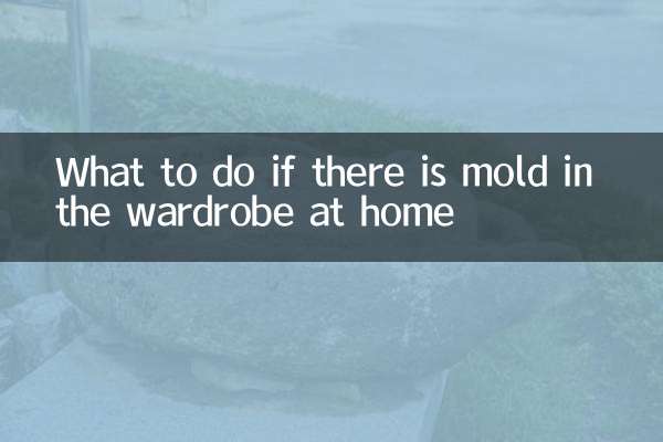 집 옷장에 곰팡이가 생겼을 때 대처법