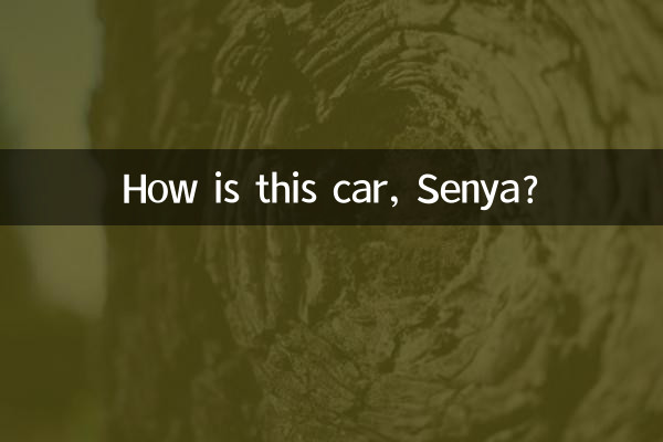 세냐, 이 차는 어때요?