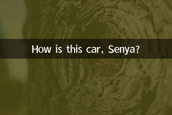 세냐, 이 차는 어때요?