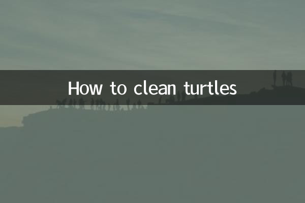 Как чистить черепах