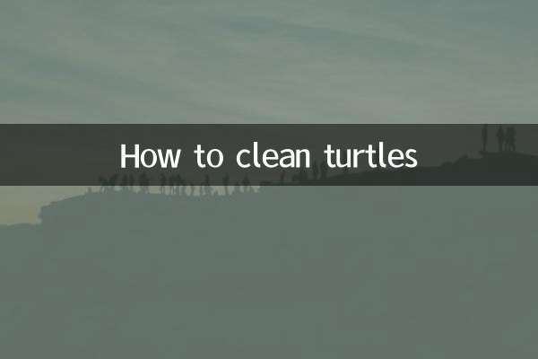 Как чистить черепах