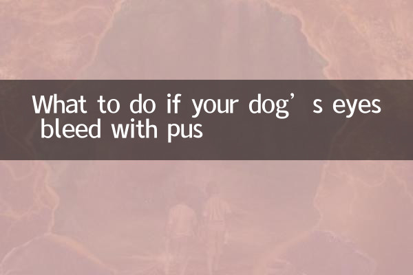 狗眼睛流膿怎麼辦
