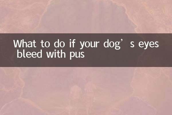 Cosa fare se gli occhi del tuo cane sanguinano di pus?