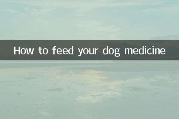 Как кормить собаку лекарством