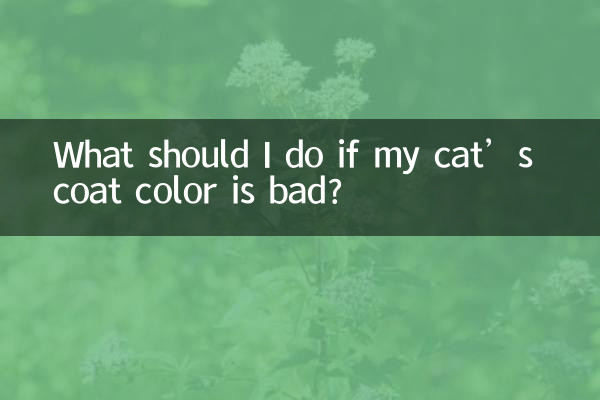 What should I do if my cat’s coat color is bad?