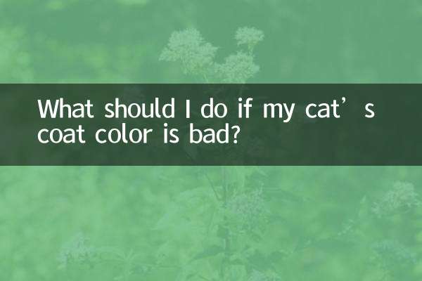 What should I do if my cat’s coat color is bad?
