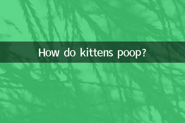बिल्ली के बच्चे कैसे शौच करते हैं?