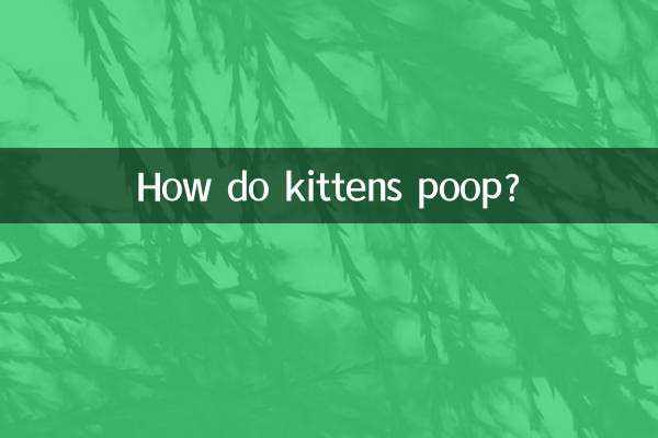 बिल्ली के बच्चे कैसे शौच करते हैं?