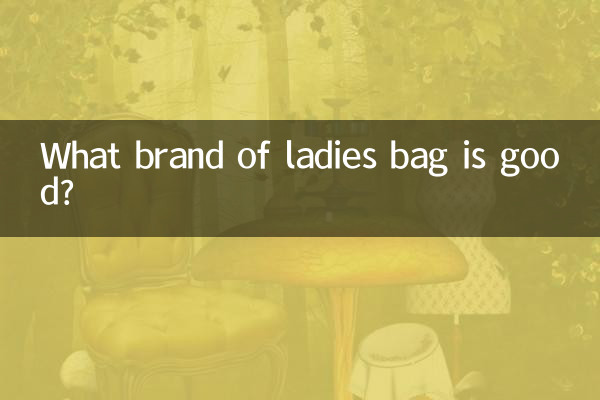 किस ब्रांड का लेडीज़ बैग अच्छा है?