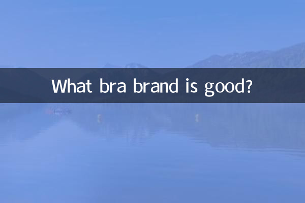 Welche BH-Marke ist gut?