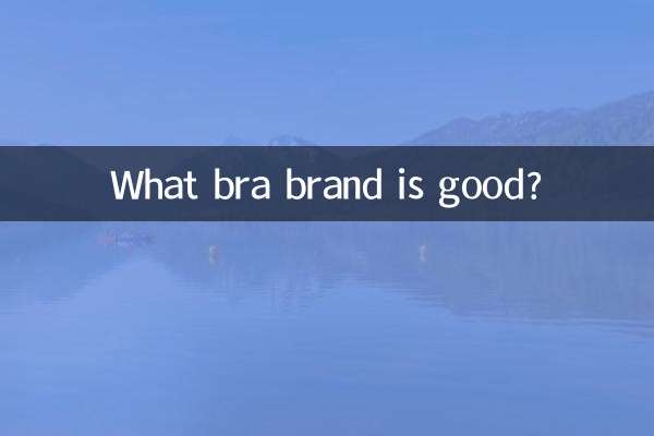 Qual marca de sutiã é boa?