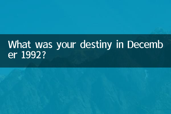 Was war Ihr Schicksal im Dezember 1992?