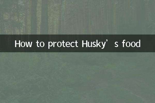 چگونه از غذای هاسکی محافظت کنیم