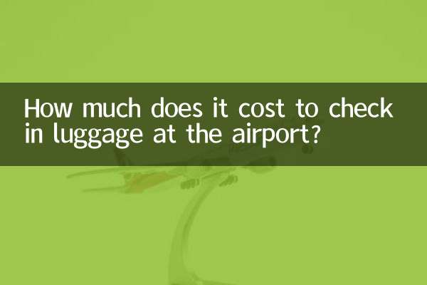 हवाई अड्डे पर सामान की जांच में कितना खर्च आता है?