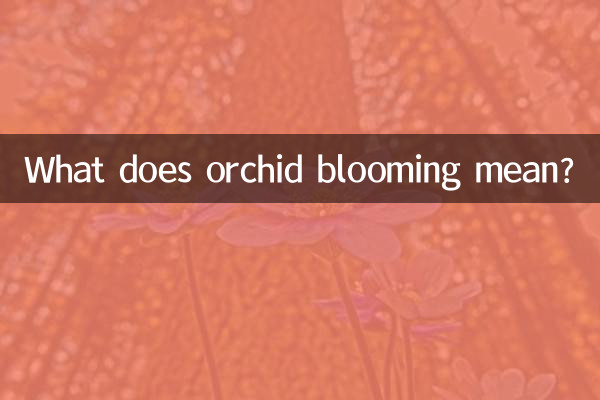 蘭花開花預示著什麼