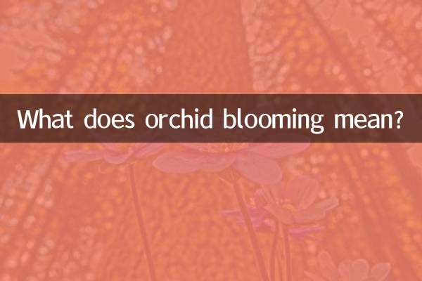 蘭花開花預示著什麼