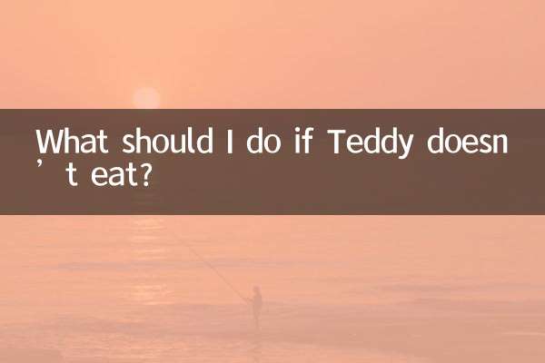 テディが食べない場合はどうすればよいですか?