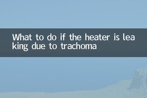 트라코마로 인해 히터가 새는 경우 어떻게 해야 합니까?