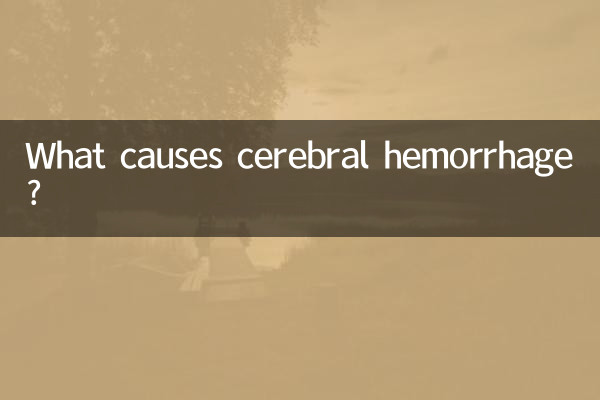 뇌출혈의 원인은 무엇입니까?