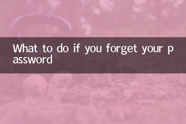 비밀번호를 잊어버린 경우 대처 방법