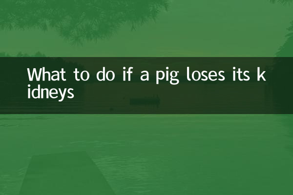 豚が腎臓を失ったらどうするか