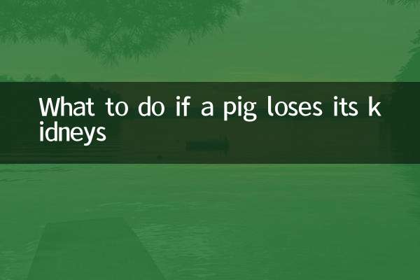 豚が腎臓を失ったらどうするか