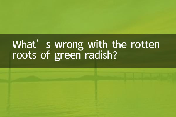 ¿Qué les pasa a las raíces podridas del rábano verde?