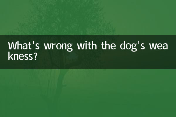 犬の弱さの何が悪いのですか？