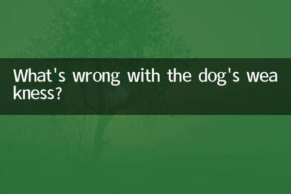 犬の弱さの何が悪いのですか？
