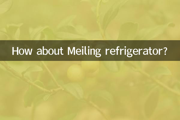 Et le réfrigérateur Meiling ?