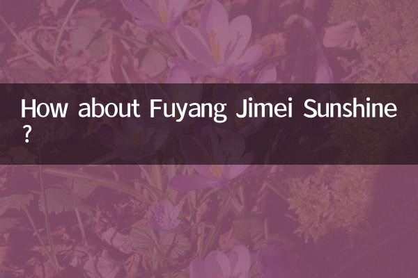 फ़ुयांग जिमी सनशाइन के बारे में आपका क्या ख़याल है?