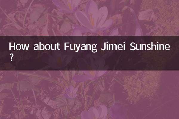 阜阳集美阳光怎么样