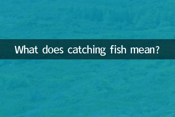 मछली पकड़ने का क्या मतलब है?