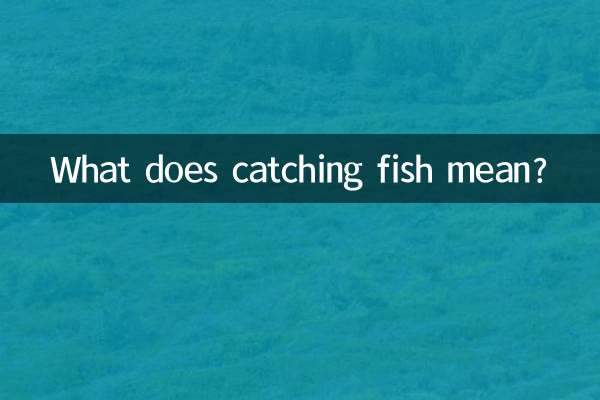 ما هو معنى صيد السمك ؟